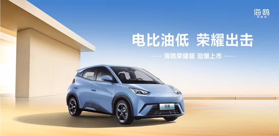 カスタマイズされた高級エコ